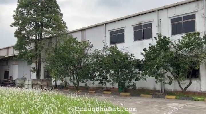 CHO THUÊ KHO, XƯỞNG TẠI KCN BÌNH XUYÊN. TỈNH VĨNH PHÚC. CHO THUÊ KHO, XƯỞNG TẠI KCN BÌNH XUYÊN. TỈNH VĨNH PHÚC.