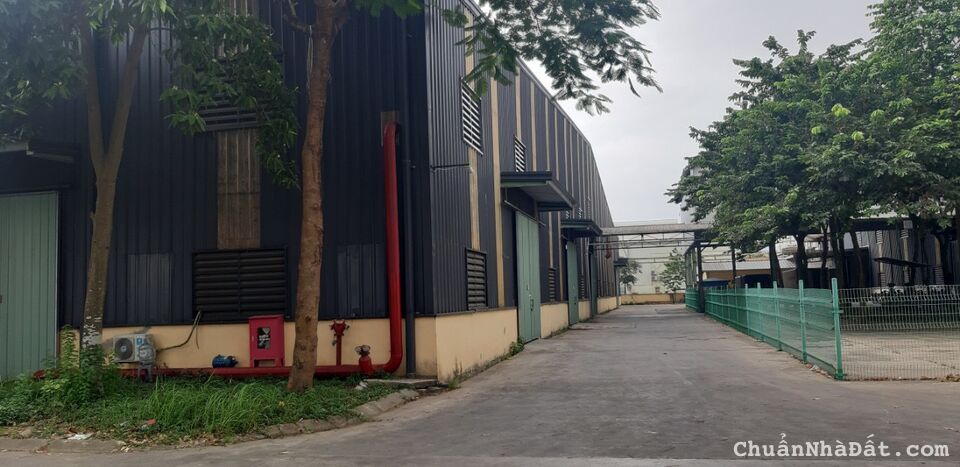 KHO, XƯỞNG CẦN CHO THUÊ  TẠI KCN QUANG MINH - GIÁ TỐT