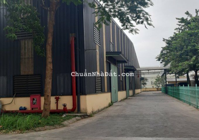 CHO THUÊ KHO, XƯỞNG KCN QUANG MINH. MÊ LINH. HN