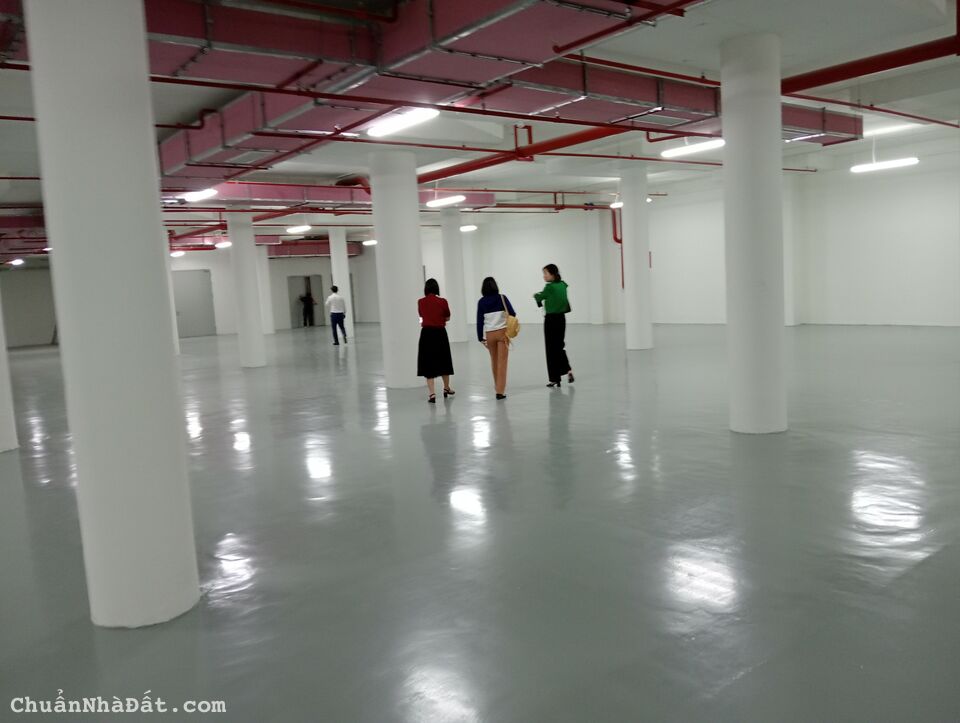 CHO THUÊ TOÀN BỘ KHO, XƯỞNG Tại Quận LONG BIÊN. HÀ NỘI