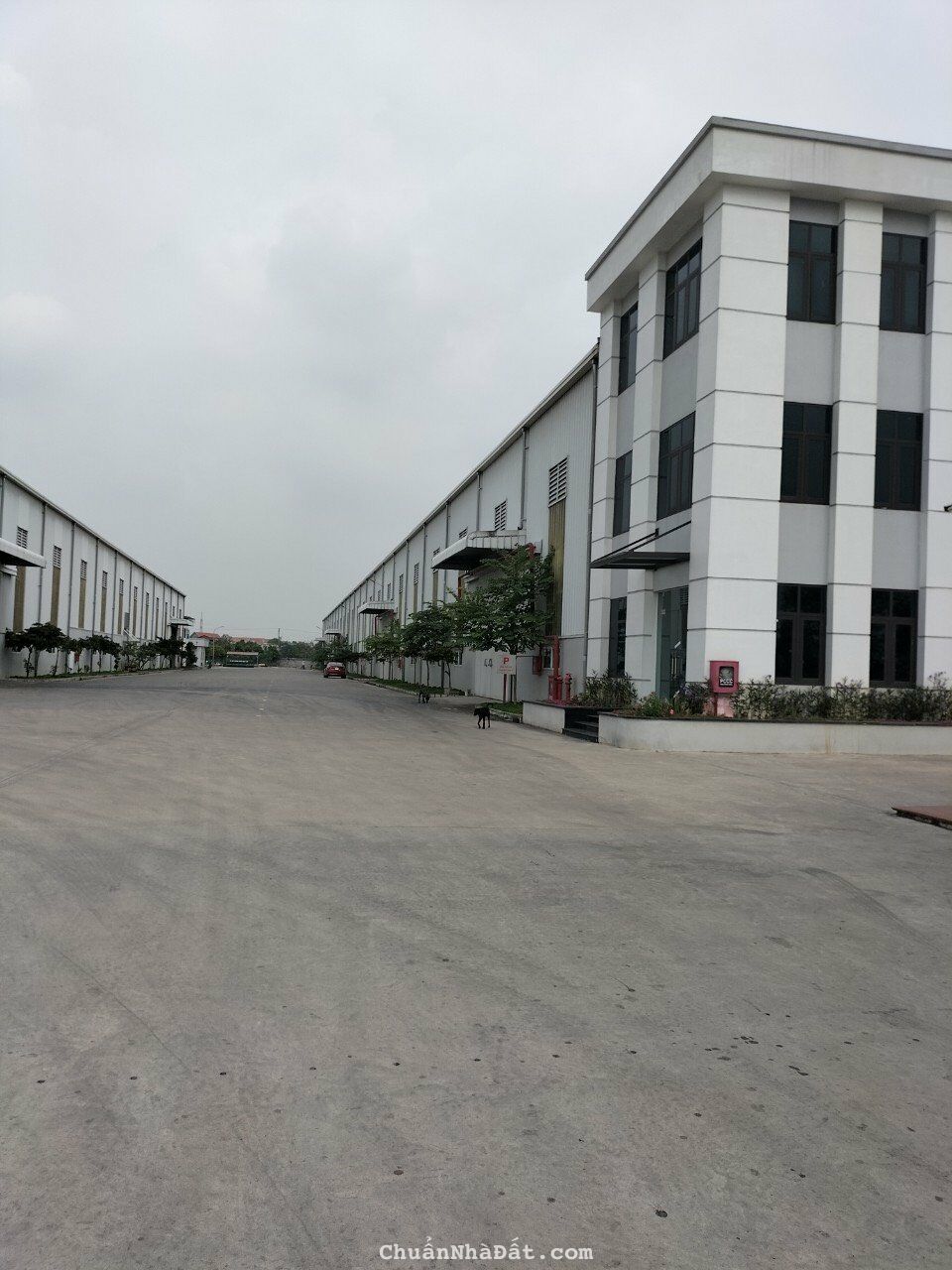 CHO THUÊ KHO, XƯỞNG TẠI MẶT ĐƯỜNG NGUYỄN BÌNH –MỸ HÀO - HƯNG YÊN