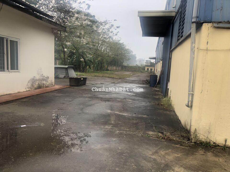 CHO THUÊ KHO, XƯỞNG TẠI QL 1A huyện DUY TIÊN. Tỉnh HÀ NAM CHO THUÊ KHO, XƯỞNG TẠI QL 1A huyện DUY TIÊN. Tỉnh HÀ NAM