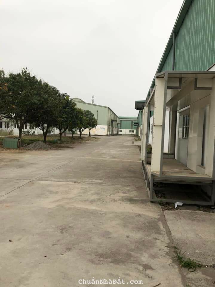 CHO THUÊ KHO, XƯỞNG TẠI CCN TÂN QUANG. VĂN LÂM. HƯNG YÊN.