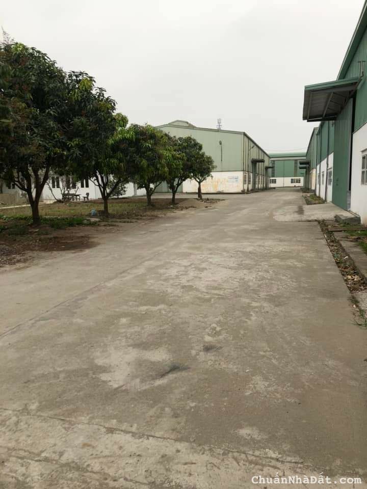 CHO THUÊ KHO, XƯỞNG TẠI CCN TÂN QUANG. VĂN LÂM. HƯNG YÊN.