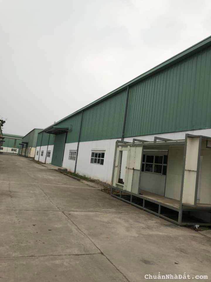 CHO THUÊ KHO, XƯỞNG TẠI CCN TÂN QUANG. VĂN LÂM. HƯNG YÊN.