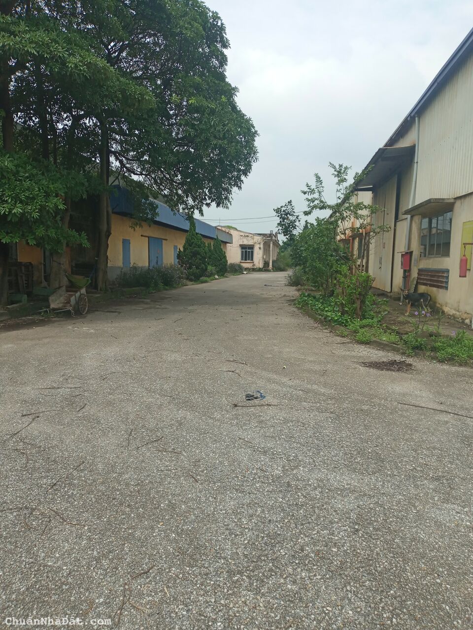 NHÀ, XƯỞNG CHO THUÊ TẠI QL5 MINH ĐỨC. MỸ HÀO. HƯNG YÊN. GIÁ RẺ