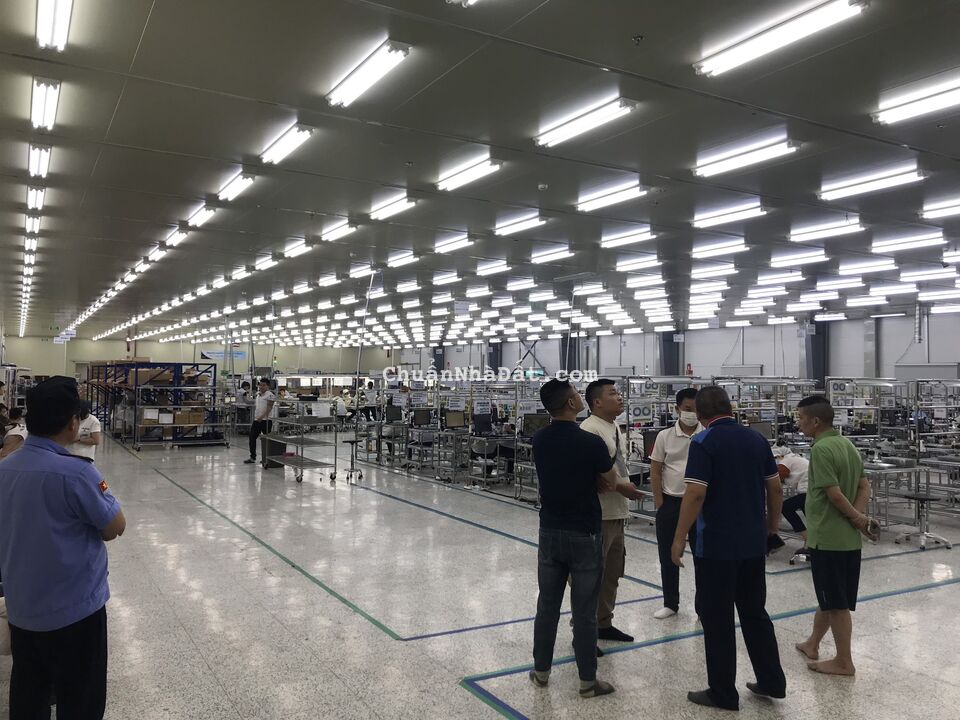 CHO THUÊ NHÀ XƯỞNG TẠI ĐIỀM THỤY. THÁI NGUYÊN