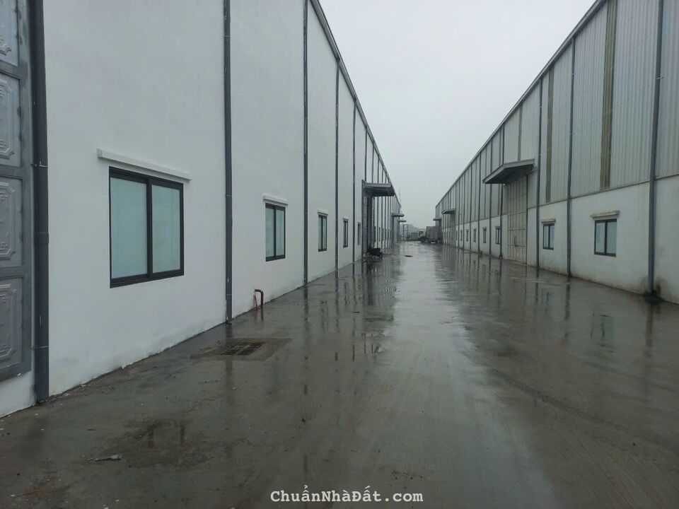 CHO THUÊ KHO, XƯỞNG TẠI CHỈ ĐẠO. VĂN LÂM. HƯNG YÊN