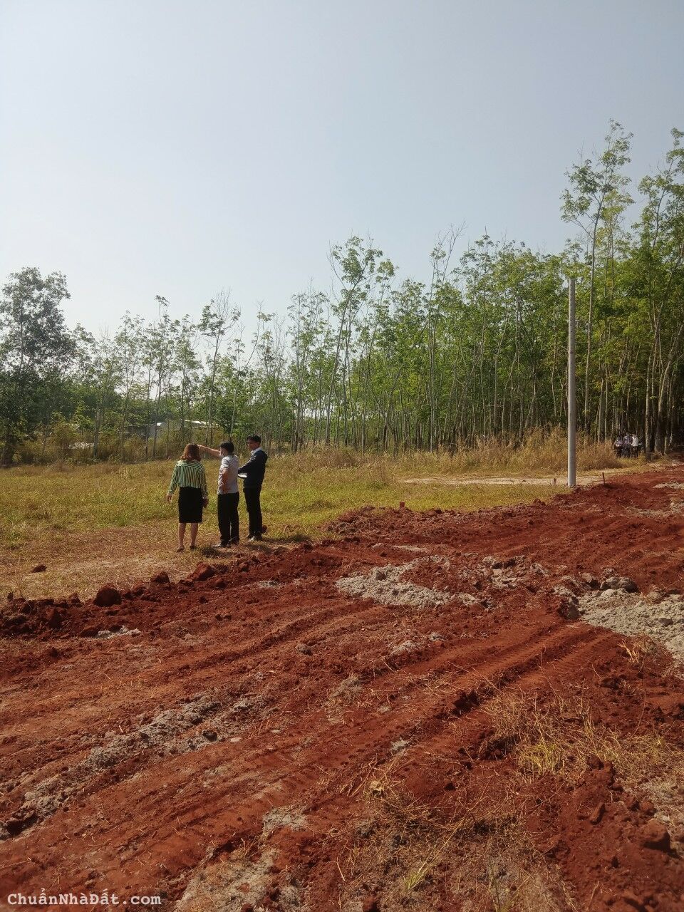 bà chị cần bán lô đất để trả lãi ngân hàng bà chị cần bán lô đất để trả lãi ngân hàng