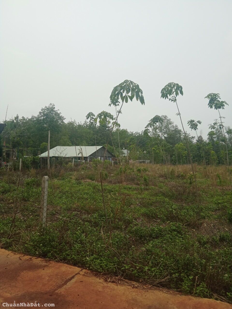 vợ chồng tôi kẹt tiền bán gấp nền đất để trả nợ vợ chồng tôi kẹt tiền bán gấp nền đất để trả nợ