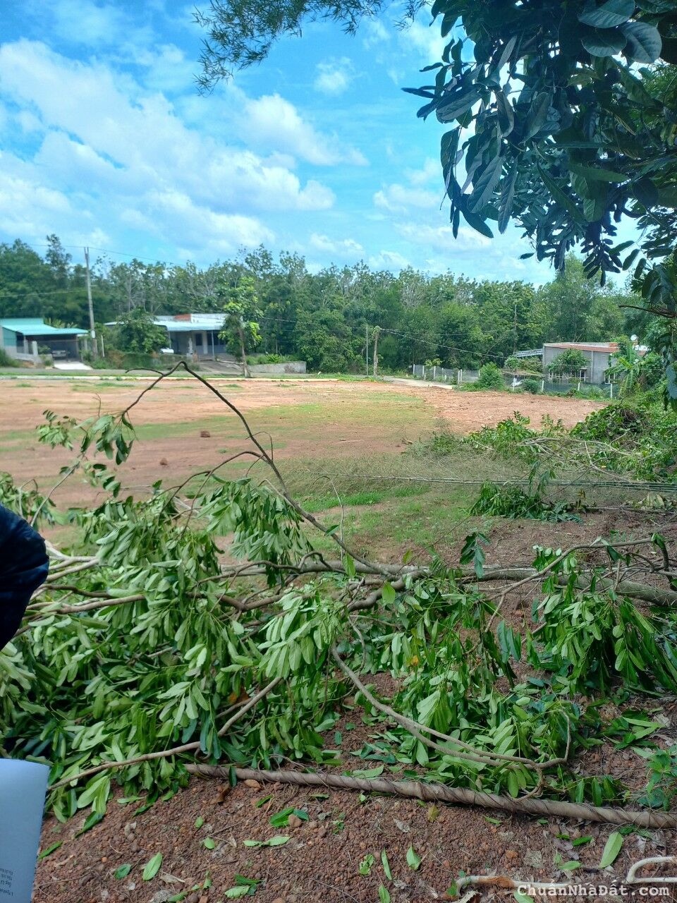 vợ chồng tôi kẹt tiền bán gấp nền đất để trả nợ vợ chồng tôi kẹt tiền bán gấp nền đất để trả nợ