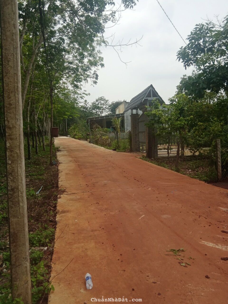 vợ chồng tôi kẹt tiền bán gấp nền đất để trả nợ vợ chồng tôi kẹt tiền bán gấp nền đất để trả nợ