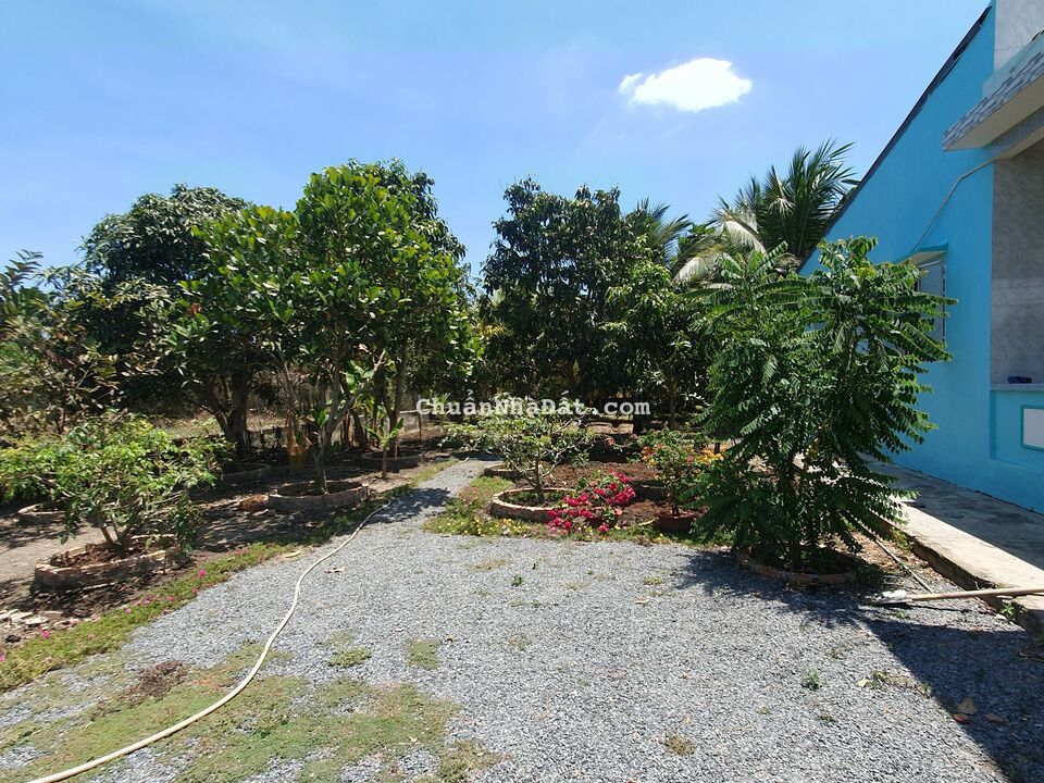 ✨✨NHÀ VƯỜN CÓ SẴN CHỈ VIỆC Ở SIÊU HIẾM Ở CẦN GIUỘC GIÁ RẺ NHẤT KHU VỰC✨✨