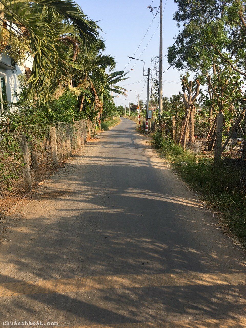 Đất vườn đường ô tô giá rẻ như đất lúa duy nhất 1 lô ngay tại trung tâm Cần Giuộc cho nhà đầu tư