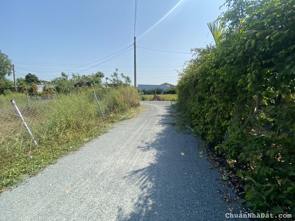 ĐẤT VƯỜN 2 MẶT TIỀN CỰC ĐẸP DT 539m2 CÒN 1 LÔ DUY NHẤT Ở THỊ TRẤN CẦN GIUỘC