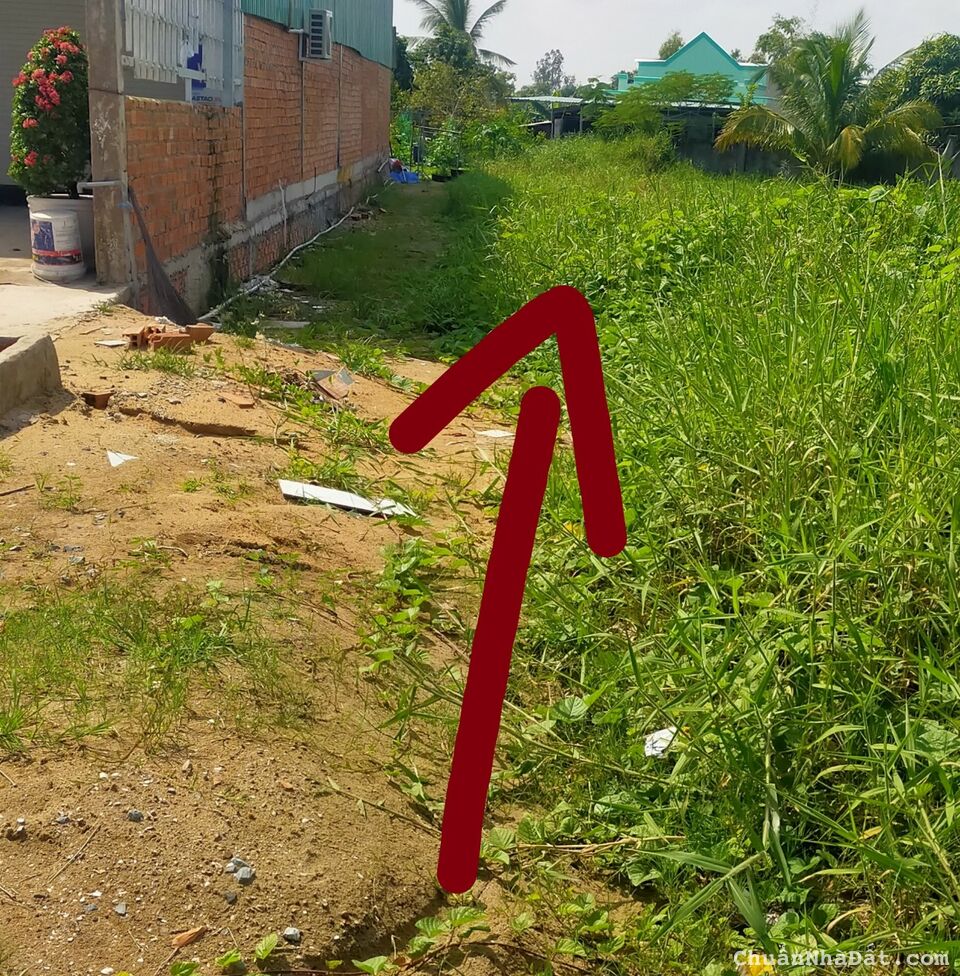 CHÍNH CHỦ KẸT TIỀN BÁN GẤP 267M2 ĐẤT THỔ, MẶT TIỀN QLO50 CÁCH TT THỊ TRẤN CHỈ VÀI PHÚT DI CHUYỂN