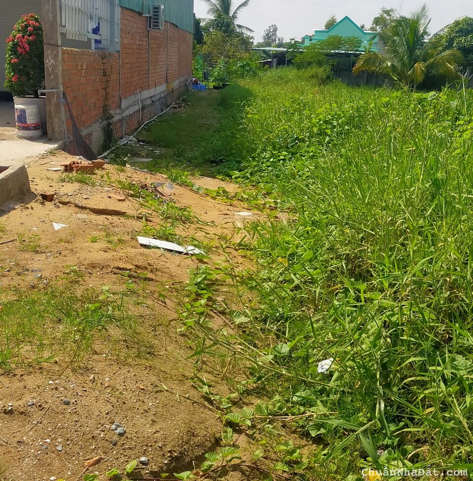 CHỦ CẦN TIỀN BÁN GẤP HƠN 250M2 THỔ, MẶT TIỀN QLO50 GIÁ RẺ CHỈ HƠN 10TR/M2 XÃ LONG AN CẦN GIUỘC