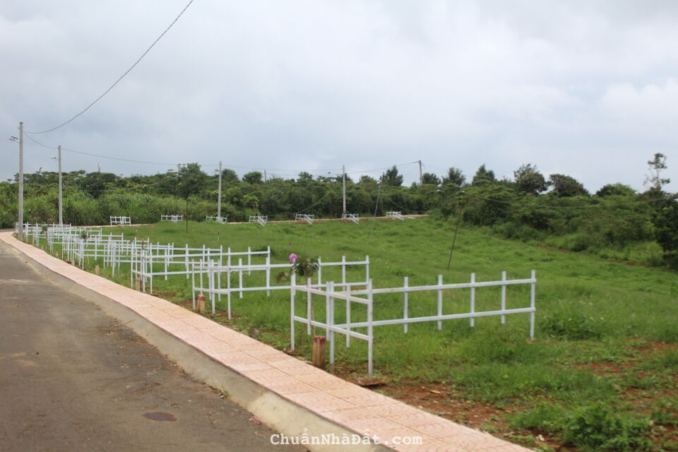 499 triệu sở hữu 80m2 đất nền Lộc An, Bảo Lộc, Bảo Lâm đường liên xã thuộc Xanh Mini Town An Hòa 499 triệu sở hữu 80m2 đất nền Lộc An, Bảo Lộc, Bảo Lâm đường liên xã thuộc Xanh Mini Town An Hòa