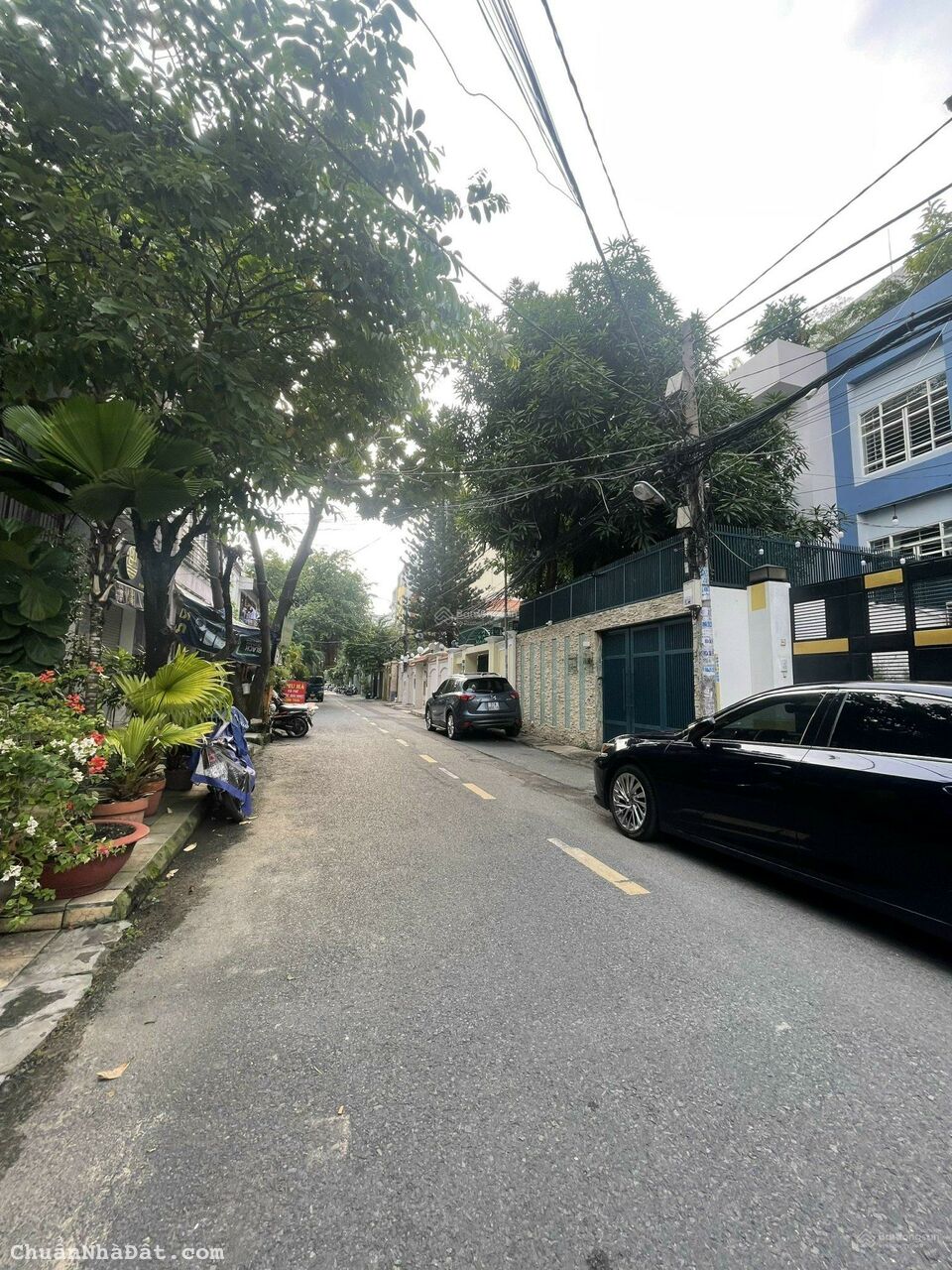 Ngộp ngân hàng bán gấp biệt thự Nguyễn Chí Thanh Quận 5. (DT 8x20m) 4 lầu, thang máy, giá bán 31 tỷ