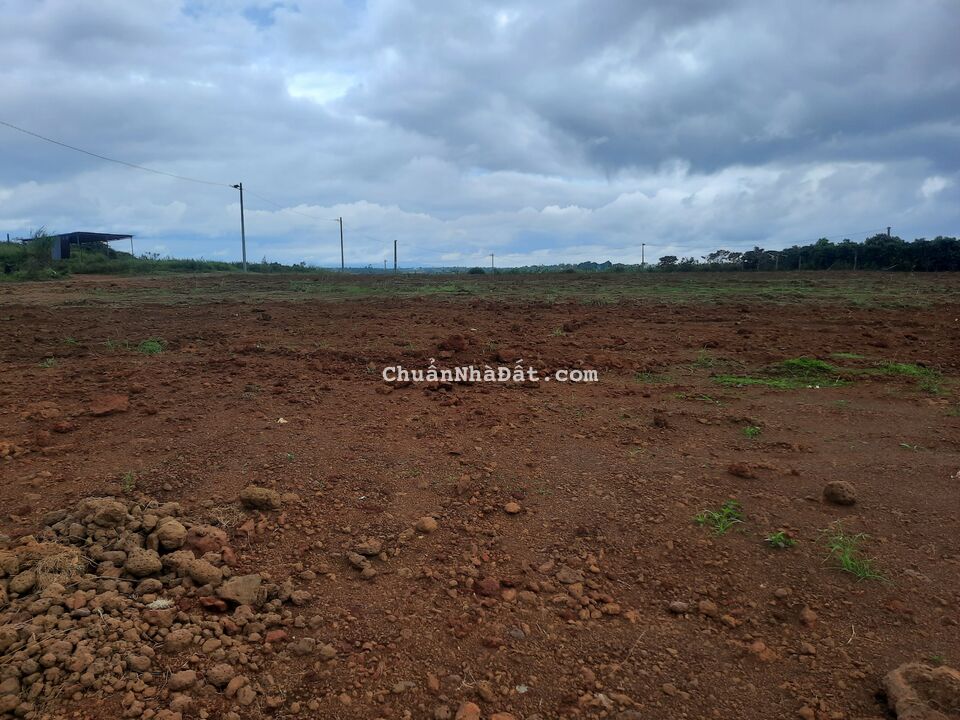 Bán lô đất thổ giá đầu tư chỉ 1.1 tỷ Bảo Lâm Bảo Lộc Lâm Đồng LH 0909964432