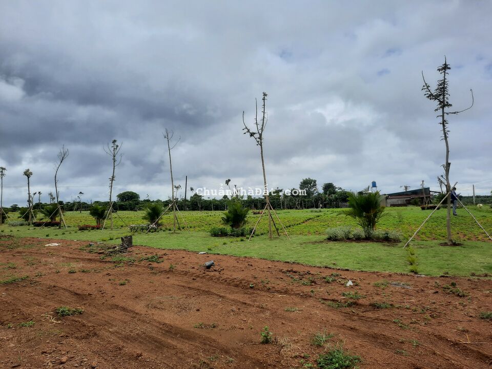 Bán lô đất thổ giá đầu tư chỉ 1.1 tỷ Bảo Lâm Bảo Lộc Lâm Đồng LH 0909964432