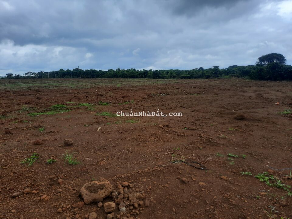 Bán lô đất thổ giá đầu tư chỉ 1.1 tỷ Bảo Lâm Bảo Lộc Lâm Đồng LH 0909964432