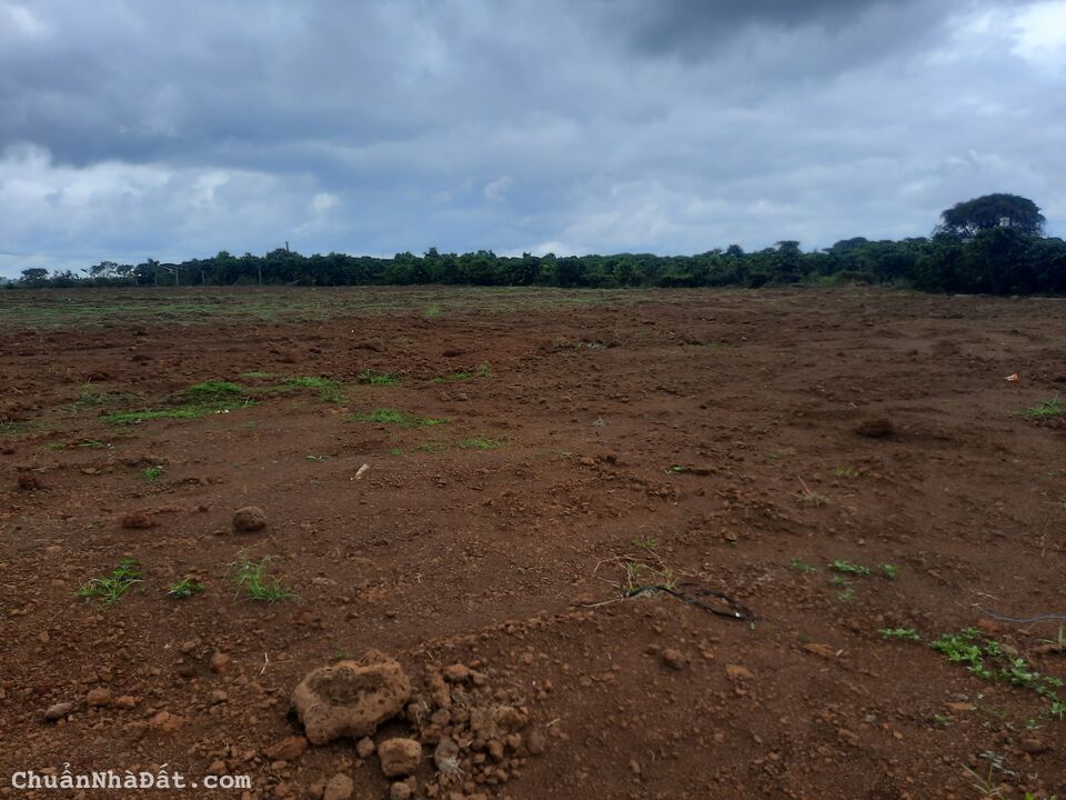 Cần tiền bán gấp lô đất thổ 97.4m2 Bảo Lâm Lâm Đồng chỉ 669tr LH 0909964432