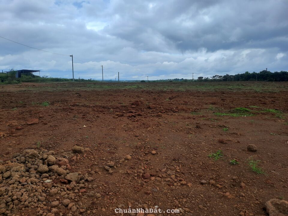 Cần tiền bán gấp lô đất thổ Bảo Lâm Bảo Lộc Lâm Đồng chỉ 669tr LH 0909964432