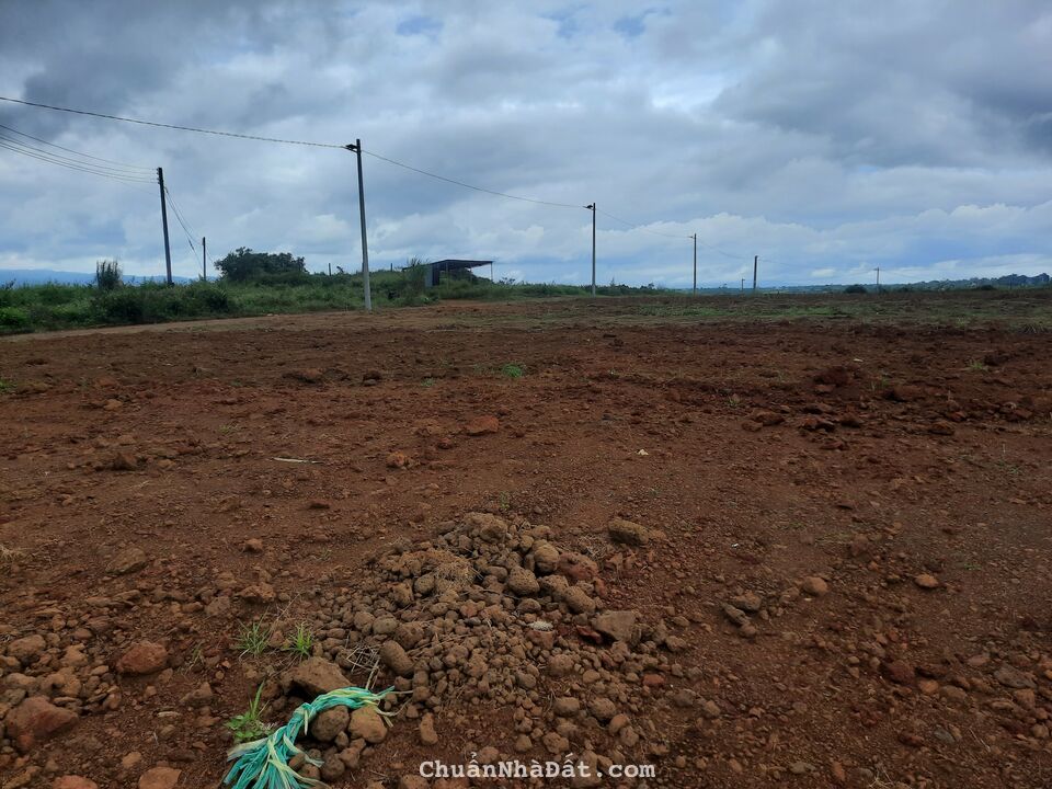 Cần tiền bán gấp lô đất thổ Bảo Lâm Bảo Lộc Lâm Đồng chỉ 669tr LH 0909964432