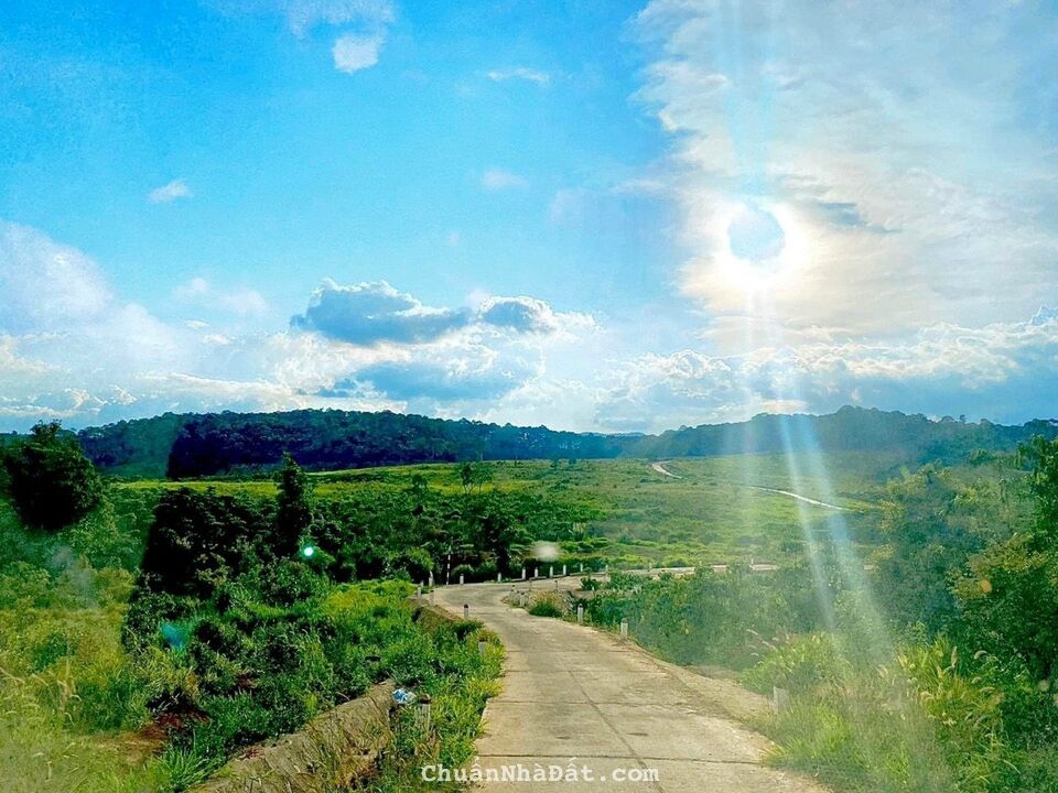 Đất view hồ Bảo Lâm 1000m2 giá chỉ 1tr/m2 cạch khu du lịch, sổ hiển thị đường Đất view hồ Bảo Lâm 1000m2 giá chỉ 1tr/m2 cạch khu du lịch, sổ hiển thị đường