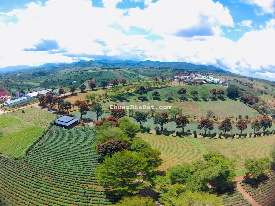 Đất view hồ ngay khu du lịch Tâm Châu, giá chỉ 4tr/m2, sát làng biệt thự, dân cư đông