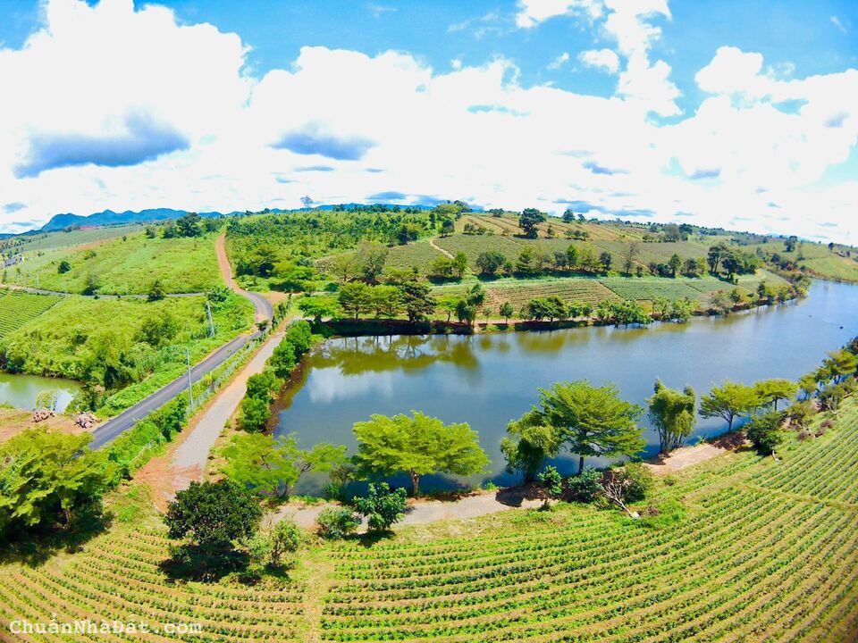 Đất view hồ ngay khu du lịch Tâm Châu, giá chỉ 4tr/m2, sát làng biệt thự, dân cư đông