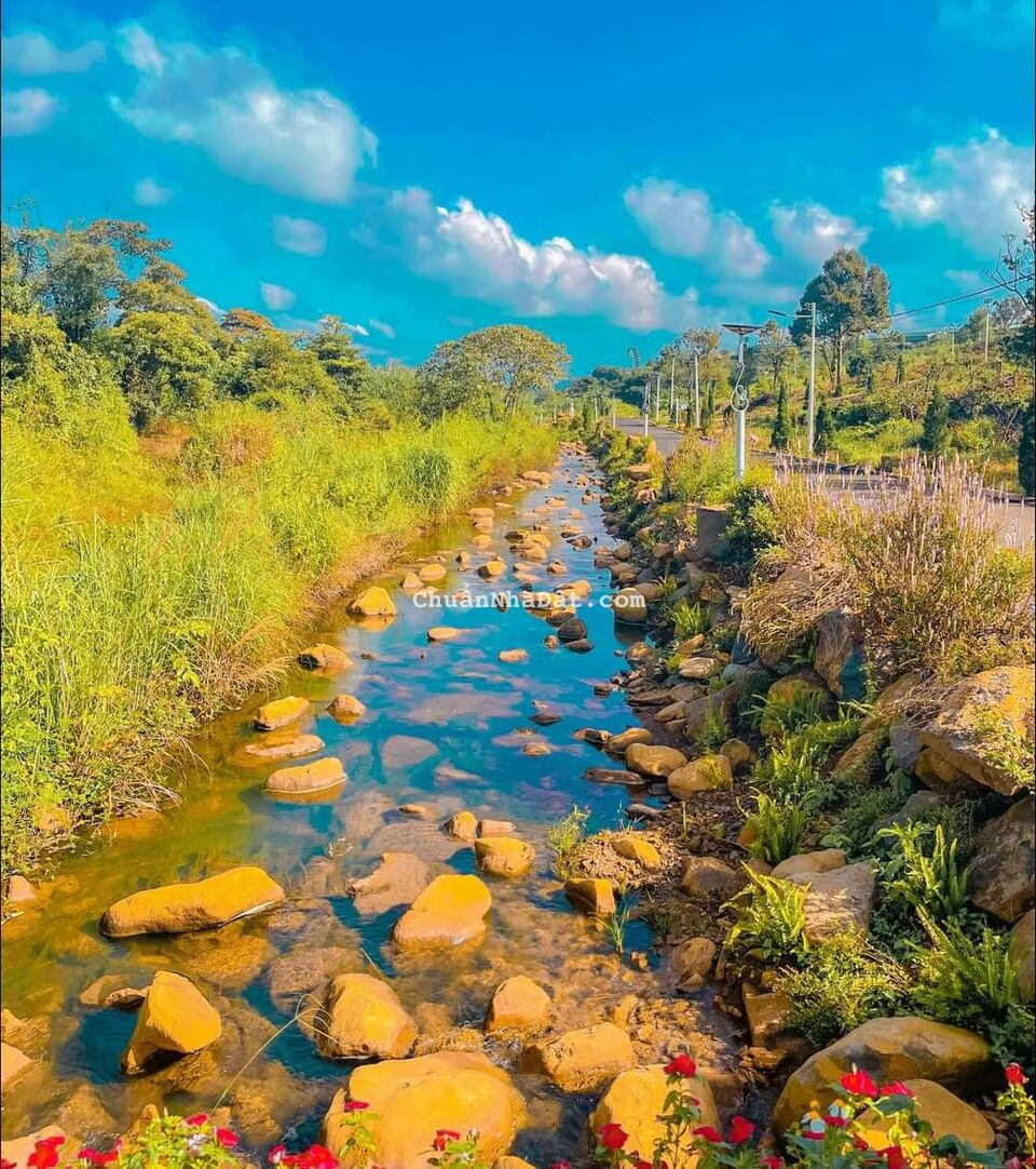 Đất view hồ Ven TP Bảo Lộc chỉ 890tr, có thổ cư, đường nhựa 12m ôm hồ