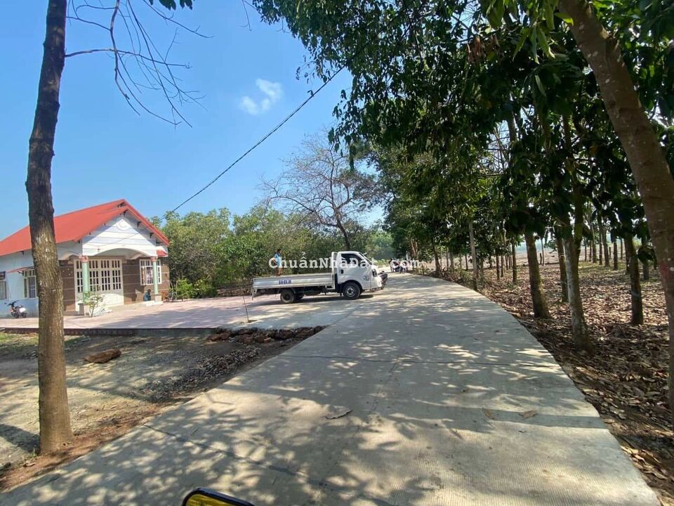 Bán gấp lô đất huyện chơn thành ,2 mặt tiền bê tông,15x40m + 100m2 thổ cư giá chỉ 76tr/m ngang