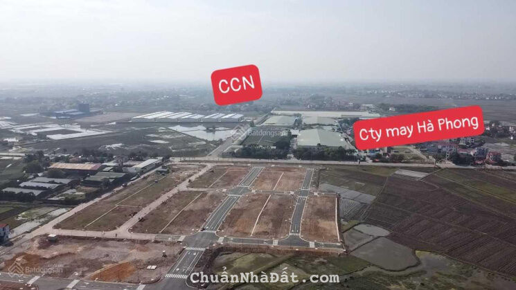 Bán đất đấu giá kép Việt Tiến Việt Yên. LH 0825 959 686