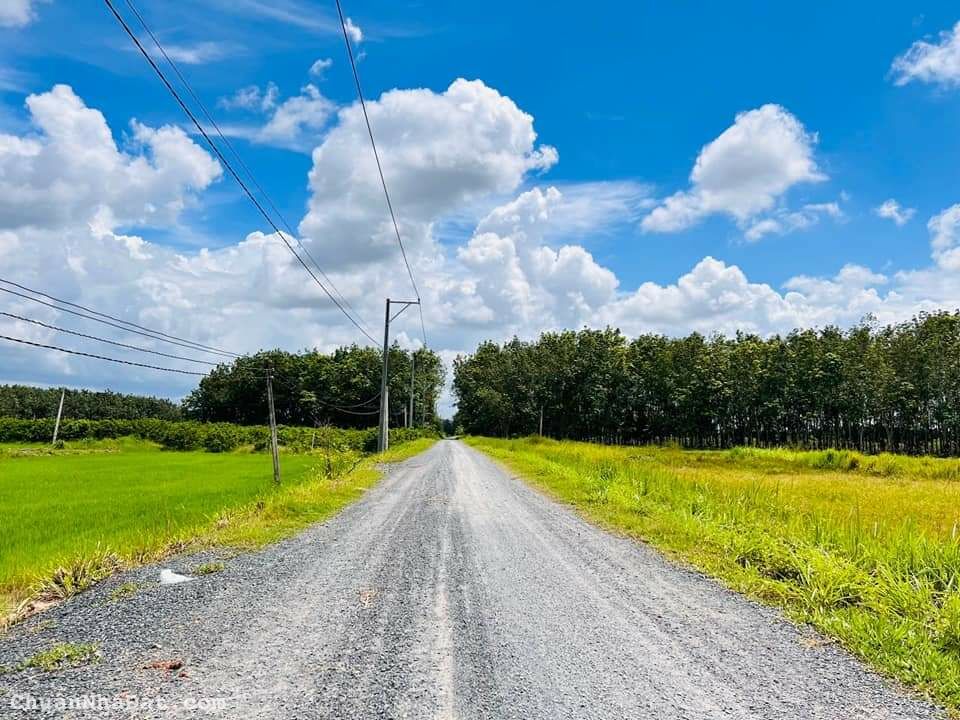 Bán lô đất thổ cư huyện Châu Thành ngay DT781