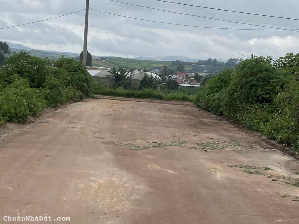 Bán đất gần sân bay Liên Khương, đường Bồng Lai ,sổ riêng, sẵn thổ cư chỉ 880 triệu.