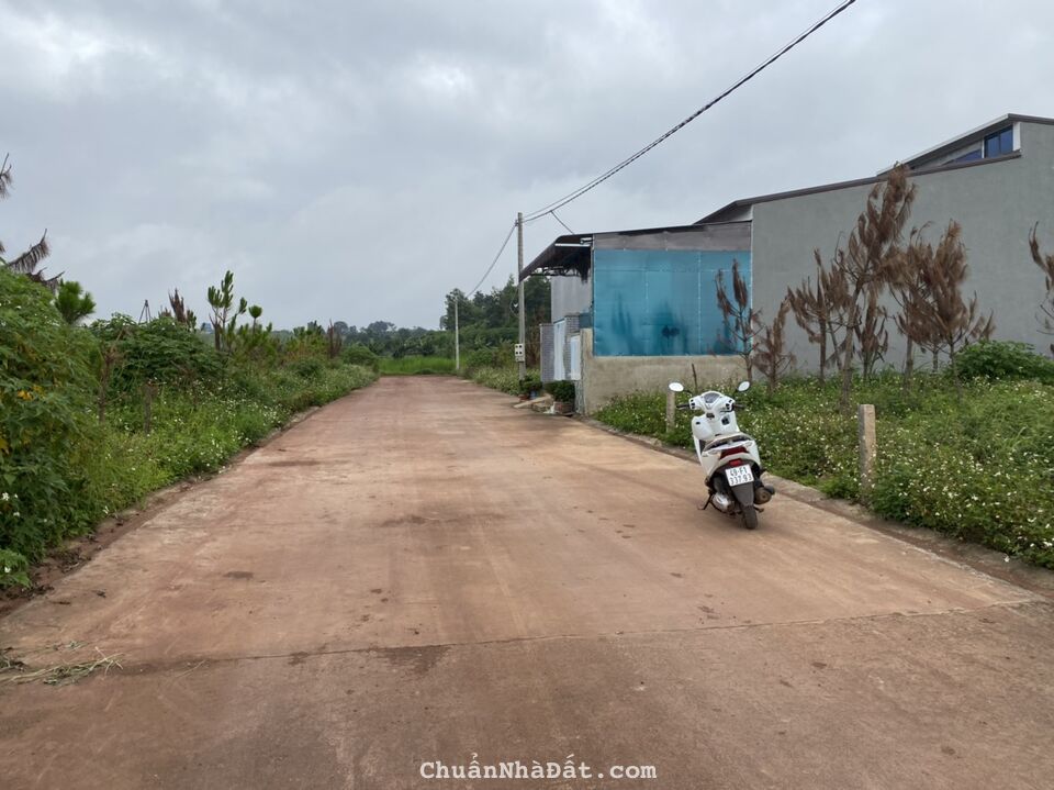 Bán đất gần sân bay Liên Khương, đường Bồng Lai ,sổ riêng, sẵn thổ cư chỉ 880 triệu.