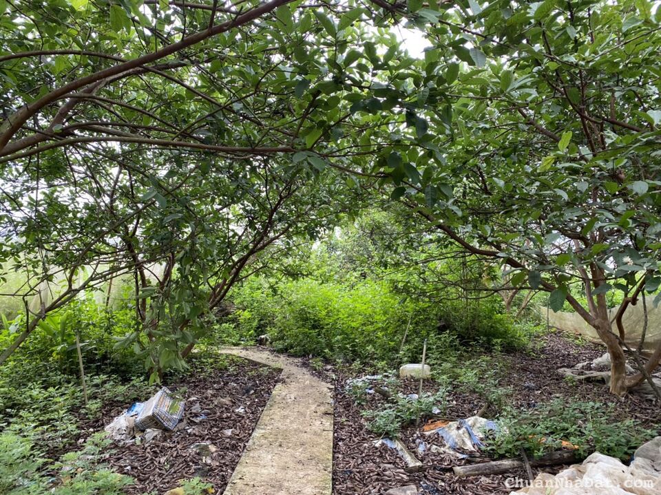 Chủ sắp định cư nước ngoài cần bán 2896m2. Đất thị trấn Liên Nghĩa- Đức Trọng 