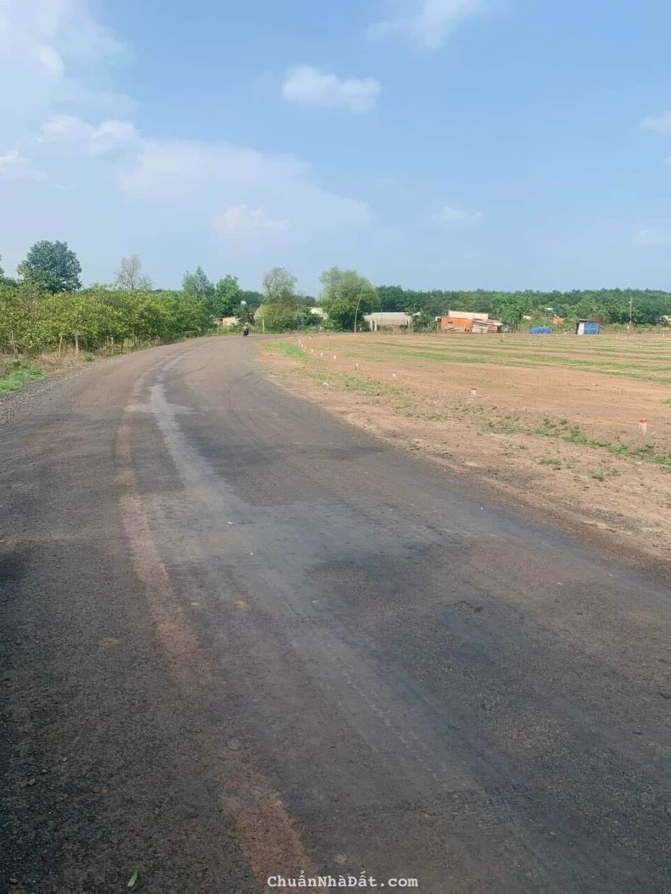 bán đất nền lộc khánh lộc ninh 5x60 giá rẻ chỉ 300tr nền sổ sẵn đường nhựa giá rẻ bán đất nền lộc khánh lộc ninh 5x60 giá rẻ chỉ 300tr nền sổ sẵn đường nhựa giá rẻ