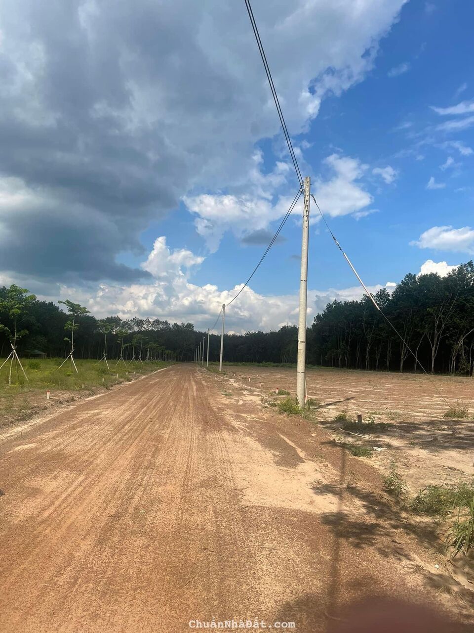 Đất lộc ninh 5x50 đường 10m giá rẻ sổ sẵn hỗ trợ bank 50%