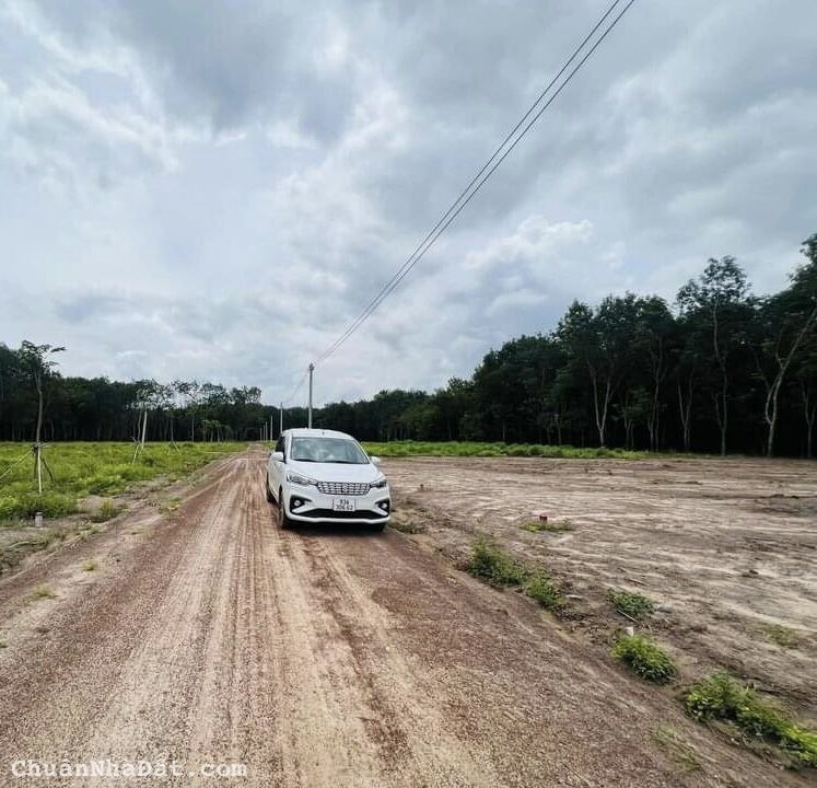 Đất lộc ninh 5x50 đường 10m giá rẻ sổ sẵn hỗ trợ bank 50%