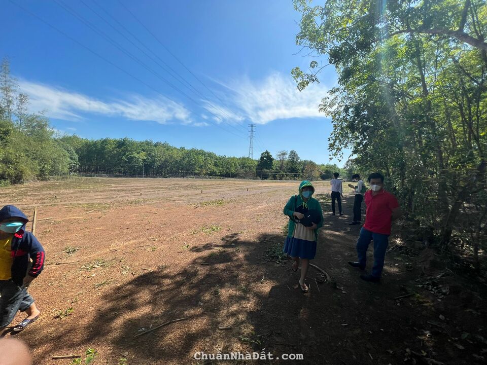 Bán đất nền lộc ninh bình phước đường nhựa sổ sẵn