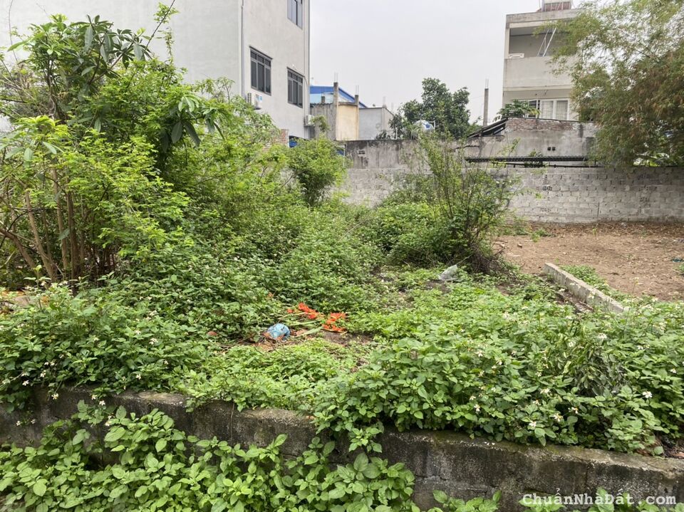 Đất nhỏ xinh,vừa tầm tiền,ngõ nông thông hai đầu,ô tô đỗ cửa,khu vực đang xây dựng cực mạnh Đất nhỏ xinh,vừa tầm tiền,ngõ nông thông hai đầu,ô tô đỗ cửa,khu vực đang xây dựng cực mạnh