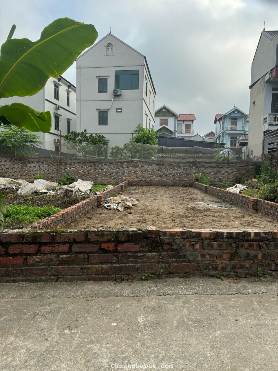 🌺🌺 BÁN ĐẤT TRUNG OAI TIÊN DƯƠNG ĐÔNG ANH SÁT BÌA LÀNG GIÁ Nhỉnh 2 tỷ