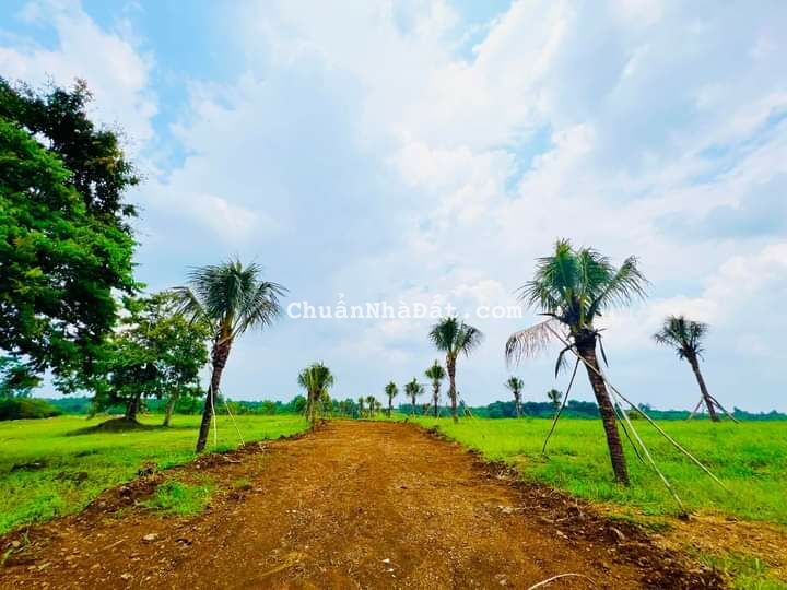 BÁN ĐẤT VIEW HỒ NGAY LÂM SAN, CẨM MỸ, ĐỒNG NAI