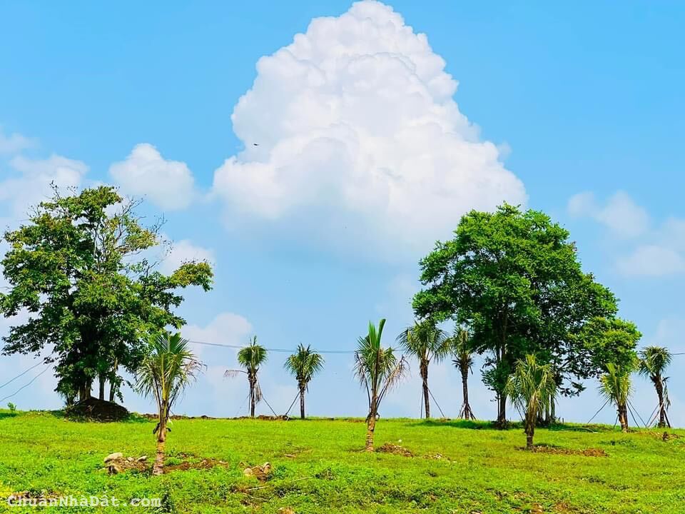 BÁN ĐẤT VIEW HỒ NGAY LÂM SAN, CẨM MỸ, ĐỒNG NAI