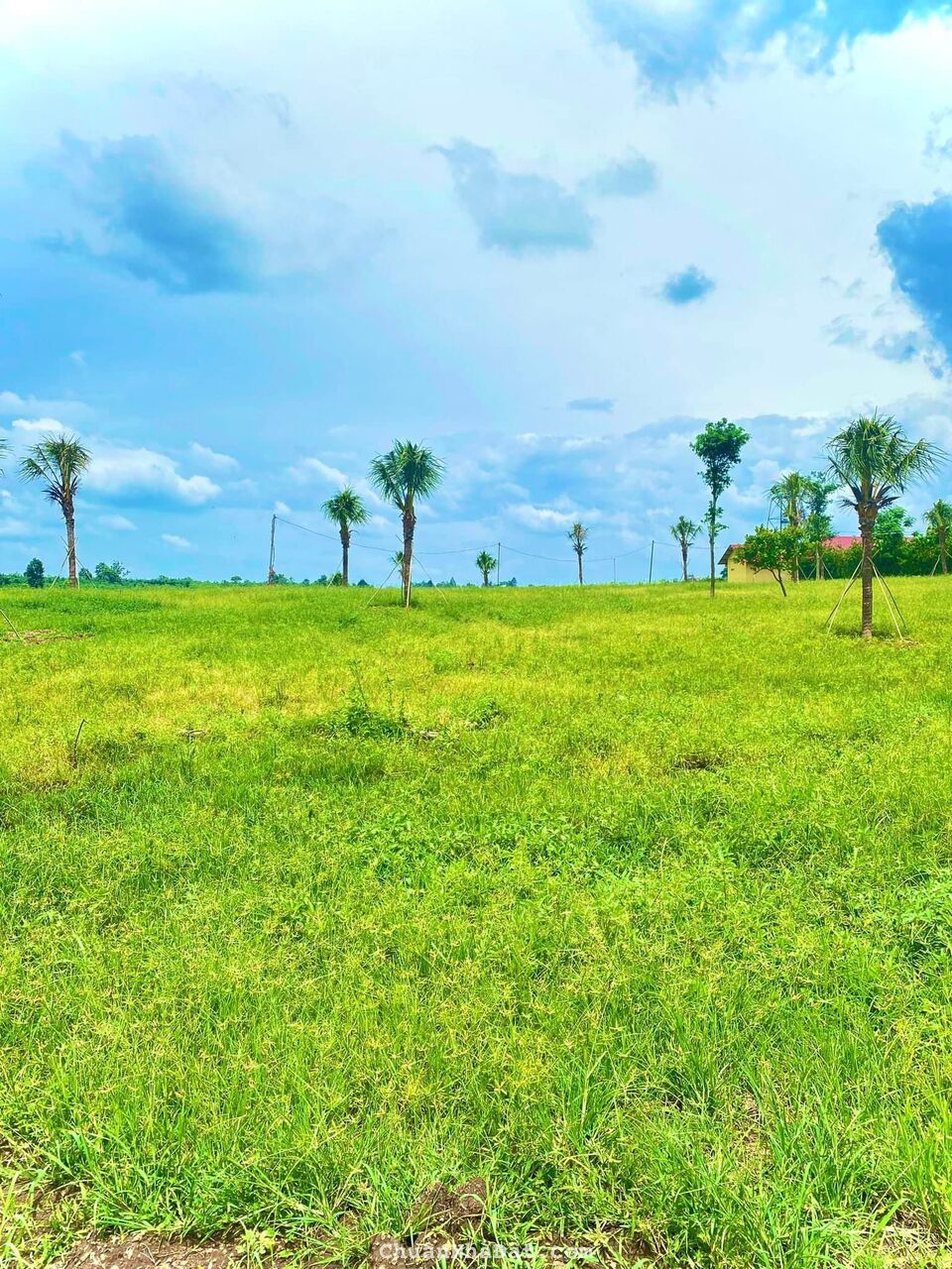 SIÊU PHẨM ĐẤT VIEW HỒ 1000M2 SHR NGAY LÂM SAN, CẨM MỸ, ĐỒNG NAI