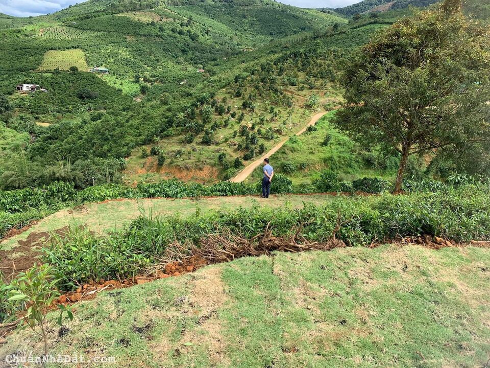 BÁN ĐẤT KHU NGHỈ DƯỠNG 1000M2 CHỈ 950 TRIỆU SỔ RIÊNG NGAY ĐẠI LÀO, TP. BẢO LỘC