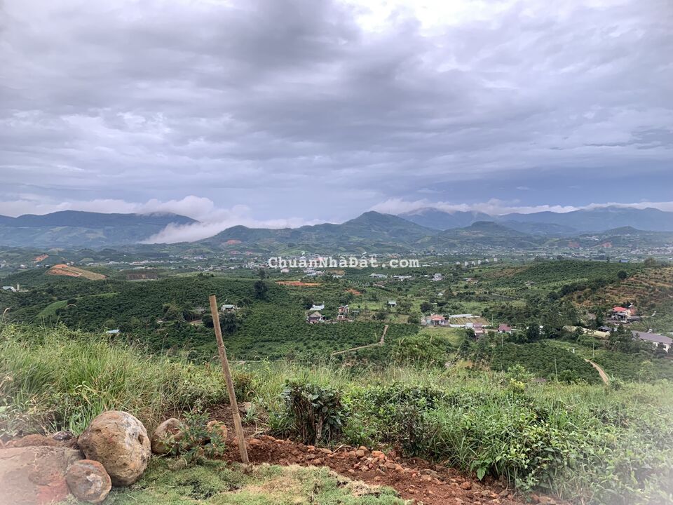 BÁN ĐẤT KHU NGHỈ DƯỠNG 1000M2 CHỈ 950 TRIỆU SỔ RIÊNG NGAY ĐẠI LÀO, TP. BẢO LỘC